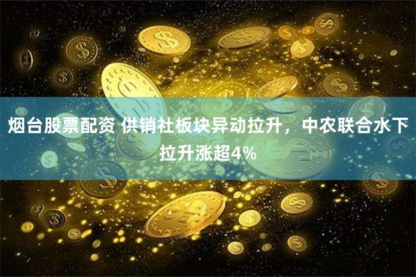 烟台股票配资 供销社板块异动拉升，中农联合水下拉升涨超4%