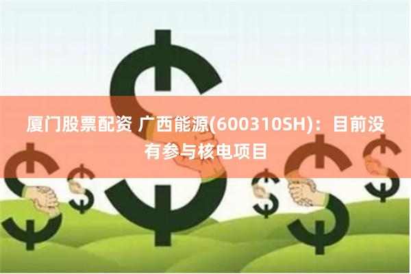 厦门股票配资 广西能源(600310SH)：目前没有参与核电项目