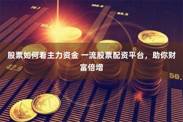 股票如何看主力资金 一流股票配资平台，助你财富倍增